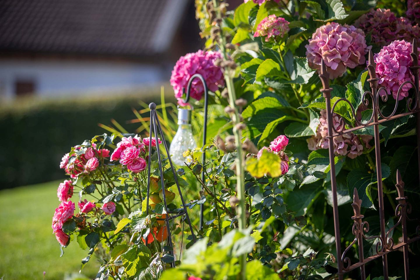 Bilder Gästehaus Stocker