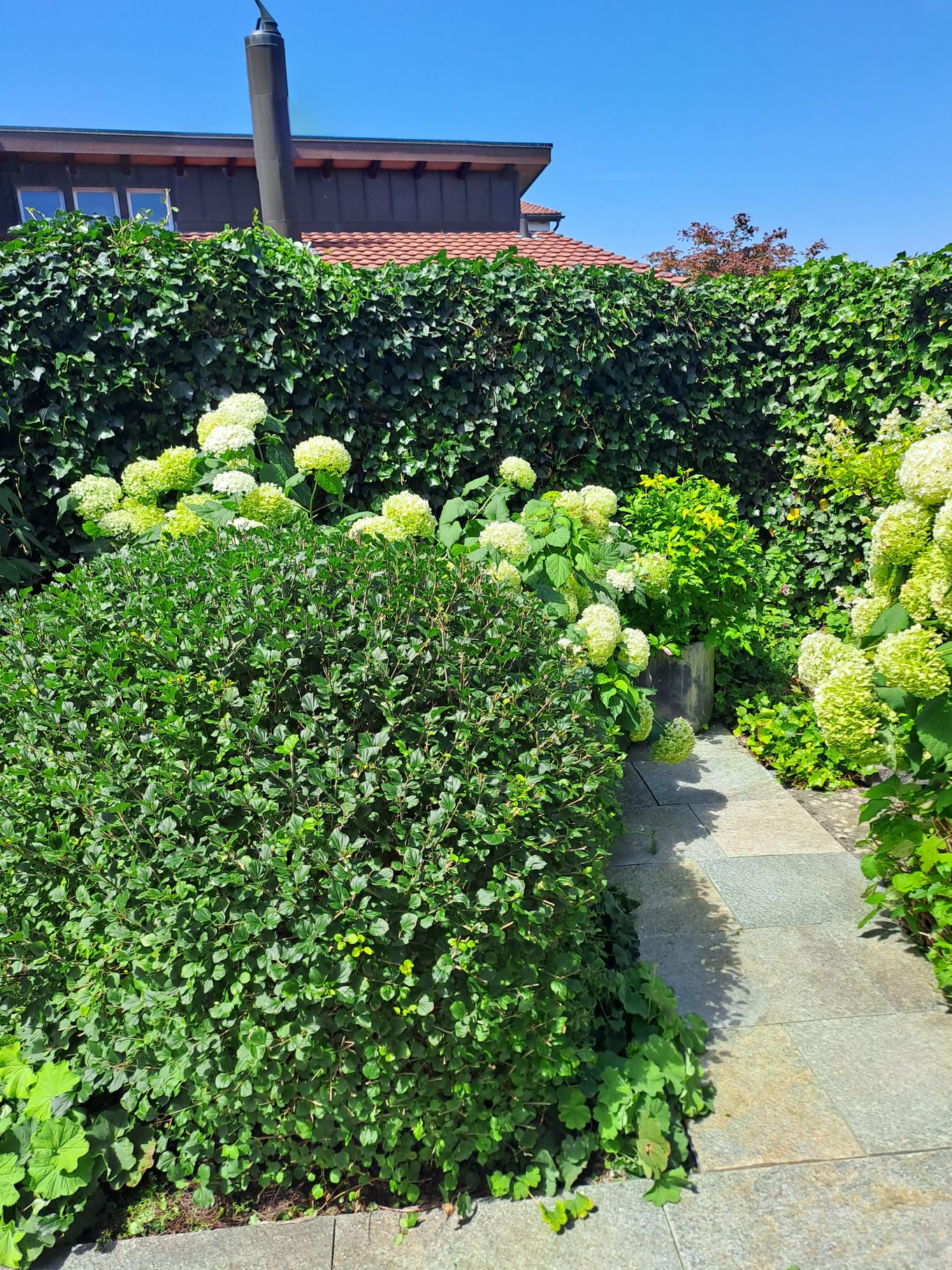 Bruno Winet, Privatgärtner, Im Hof 1 in Bilten