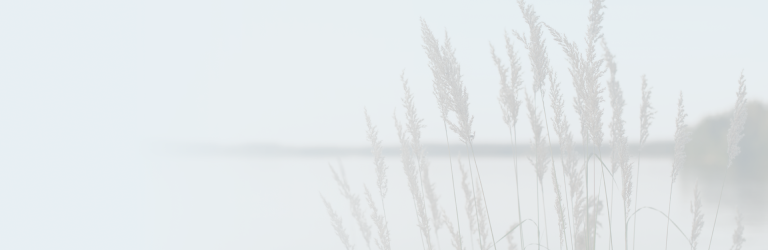 Stocks of dried grass.