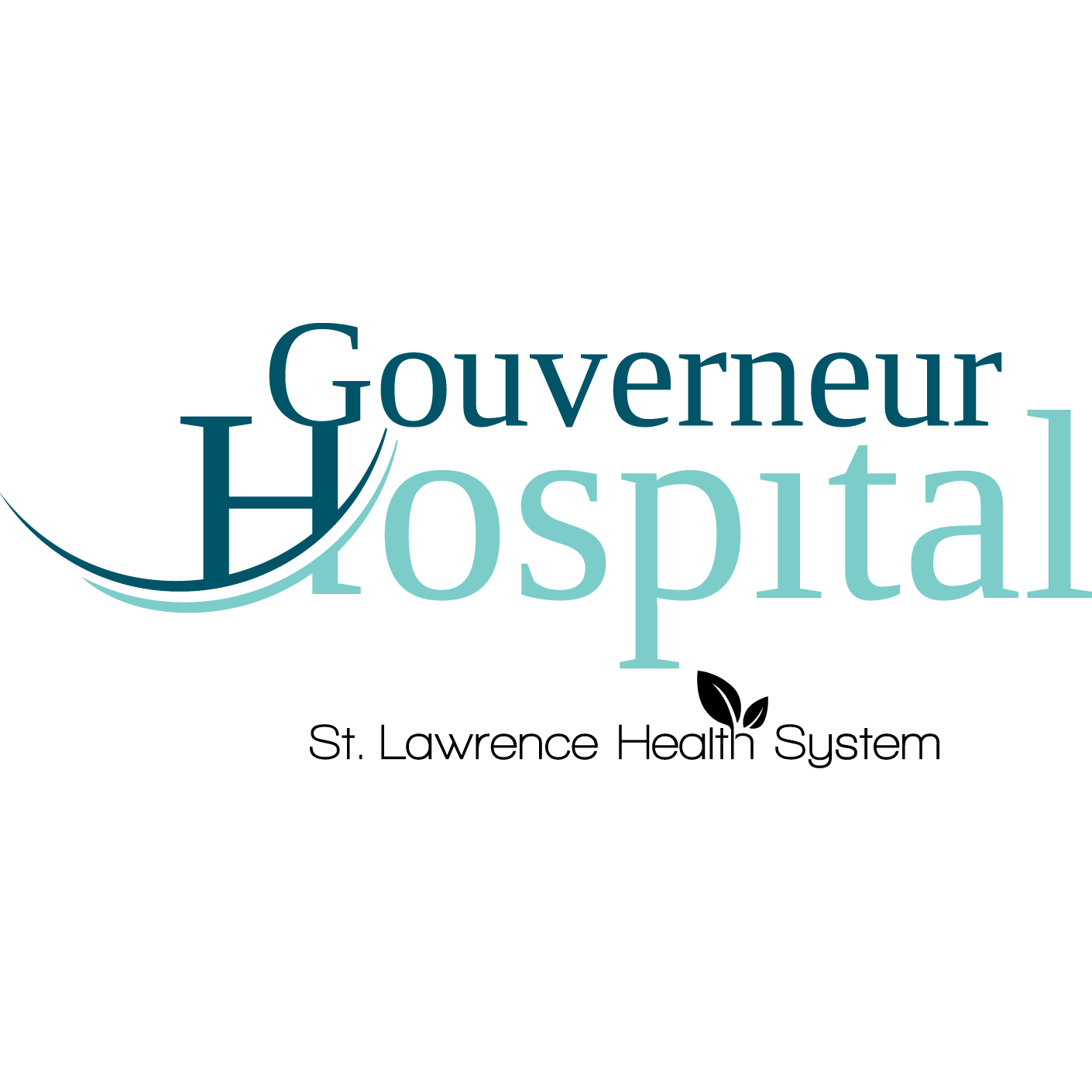 Gouverneur Hospital Emergency Room