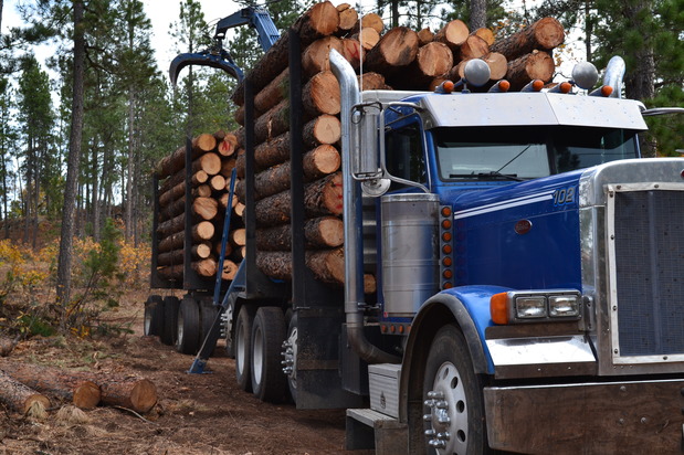 Images Altergott Forestry, LLC