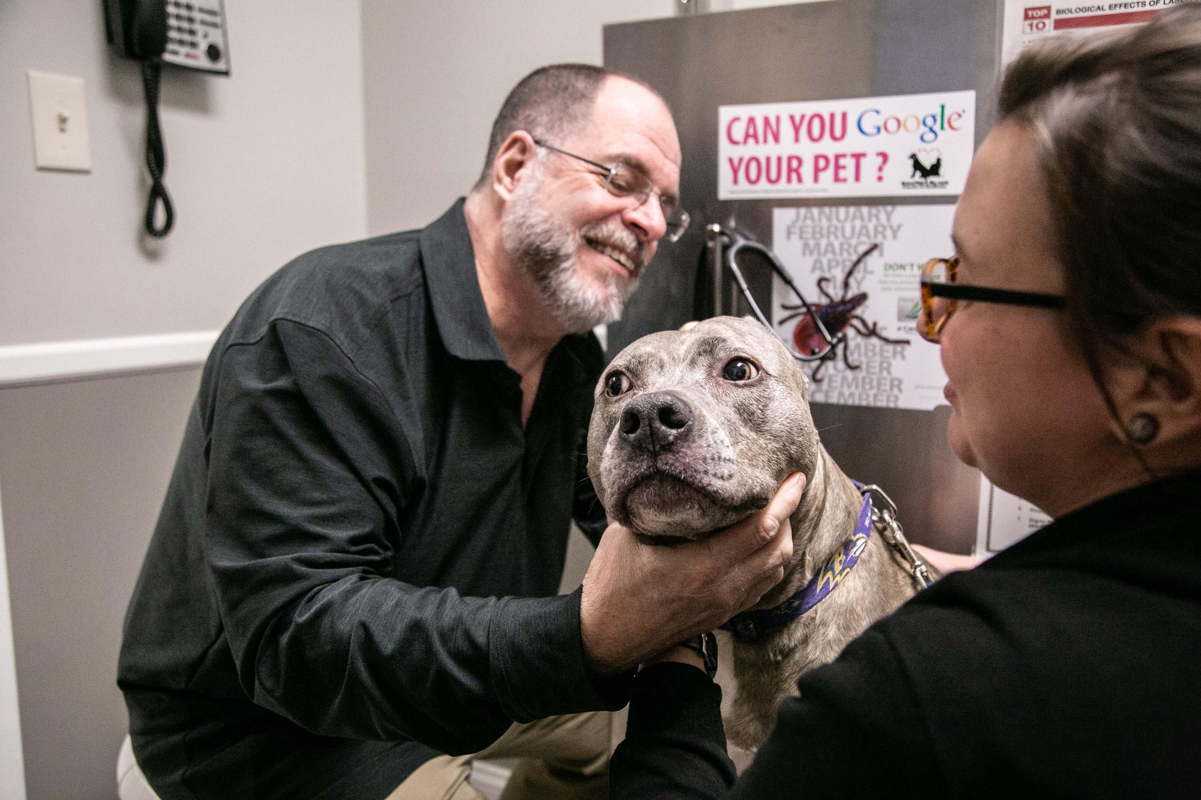 Next on the agenda, ears! Ear infections are common in dogs. We'll check for areas of concern, like infection, inflammation, and the presence of parasites.