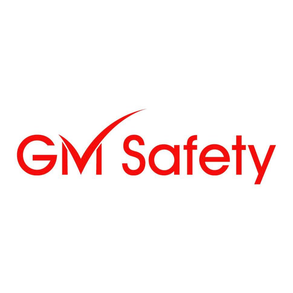 GM Safety Logo