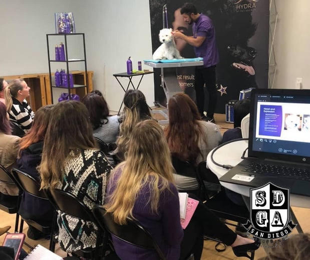 Images San Diego Grooming Academy