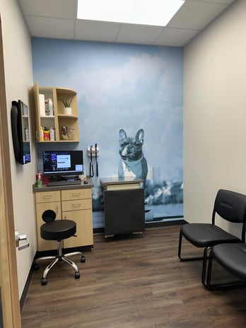 Images CityVet | Kingwood Veterinary Clinic & Urgent Care