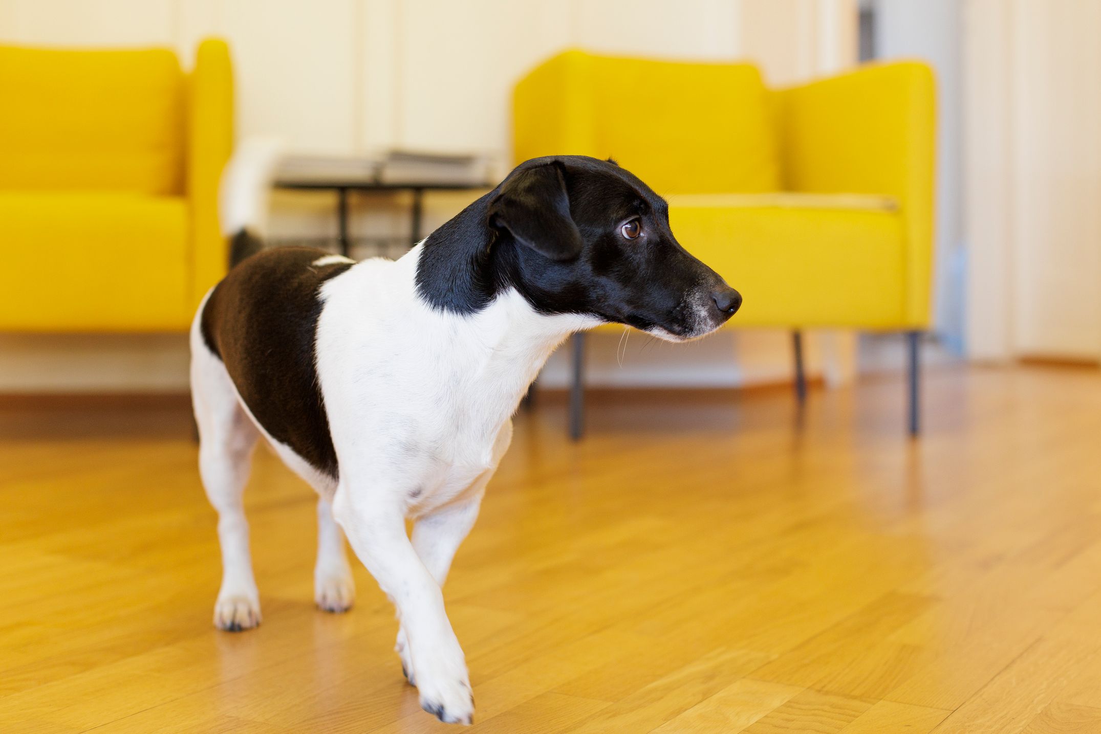 Bilder Etude CHIOCCHETTI & SIEVI : Agent d'Affaires