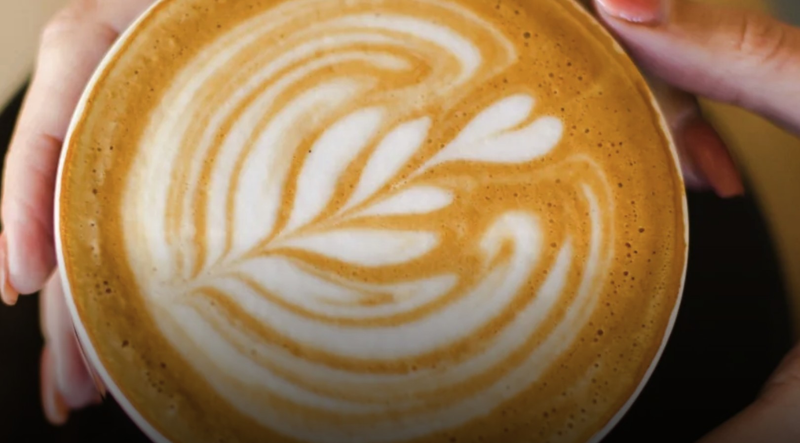 Bilder Baristacoffeeshop