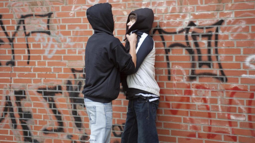 Bilder Close Protection Security Solutions