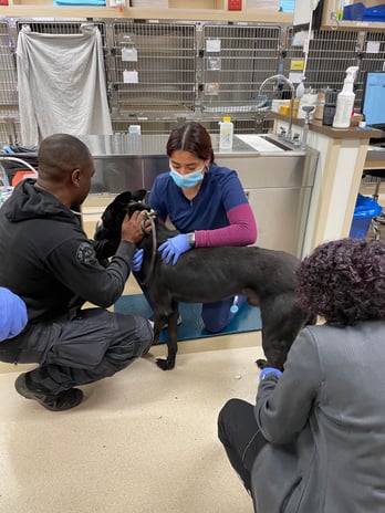 Images VCA West Los Angeles Animal Hospital