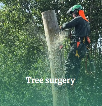Advanced Tree and Environmental Consultancy 6