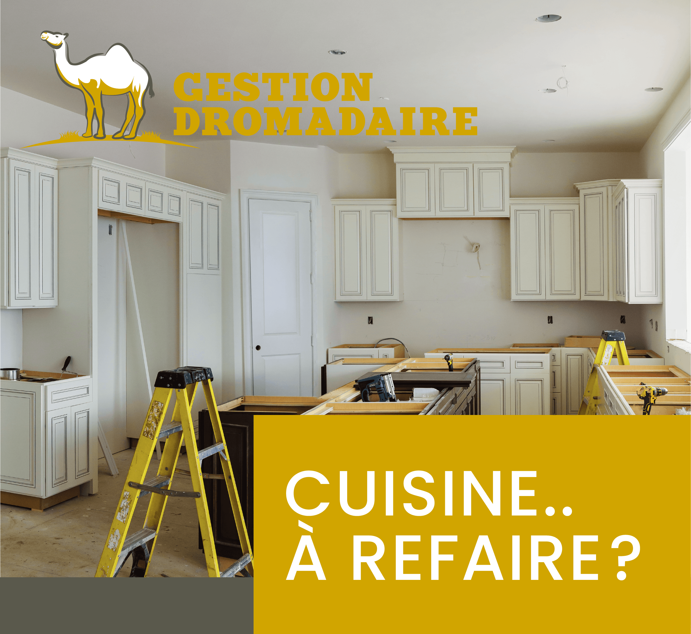 Images Gestion Dromadaire Inc