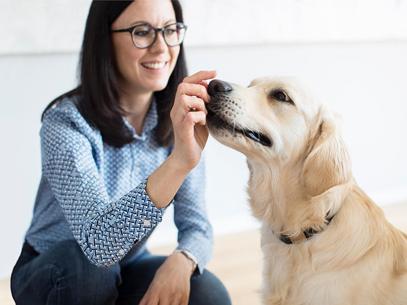 greendog Markenkommunikation®, Helfensteiner Straße  32 in Ludwigsburg
