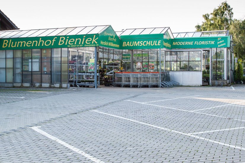 Blumenhof Bieniek GmbH, Osterfeldstraße 45 in Bochum