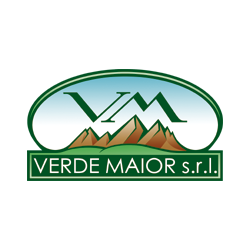 Verde Maior Logo