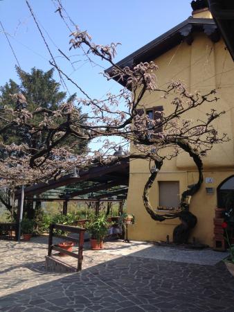 Trattoria Briscola