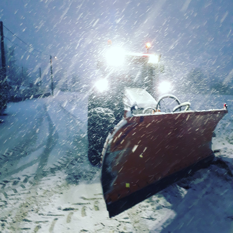 Images Azienda Agricola Barone