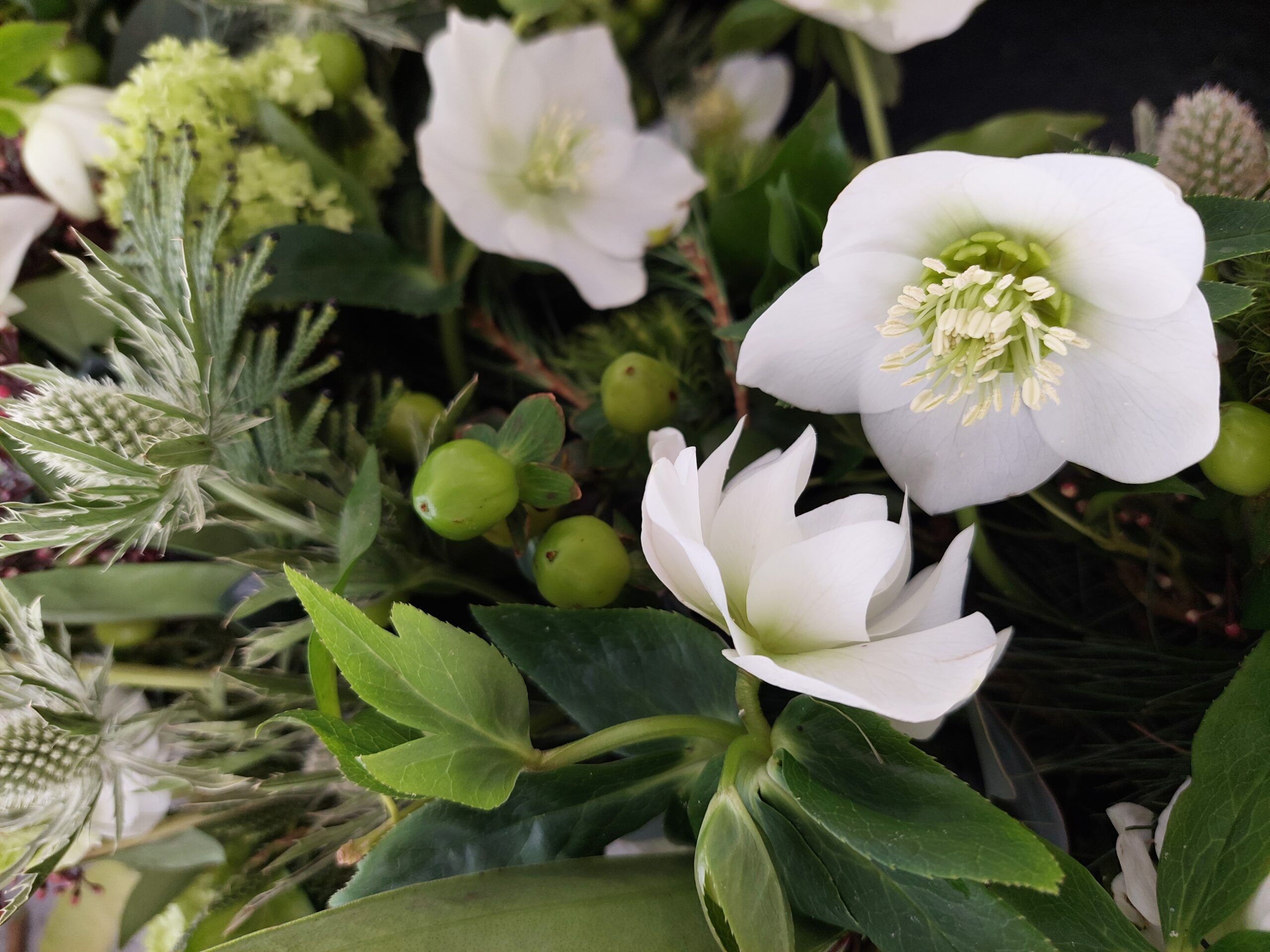 Bild 3 von Zweigwerk Floristik-Dekoration