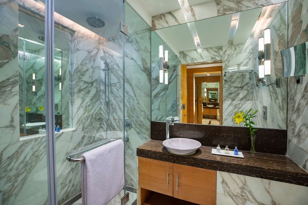 Radisson Blu Marina Hotel, Delhi Connaught Place