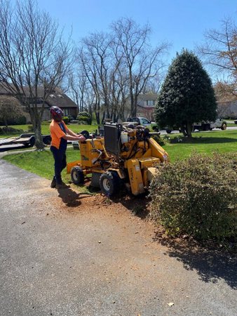 Images Friendly Tree Service Inc