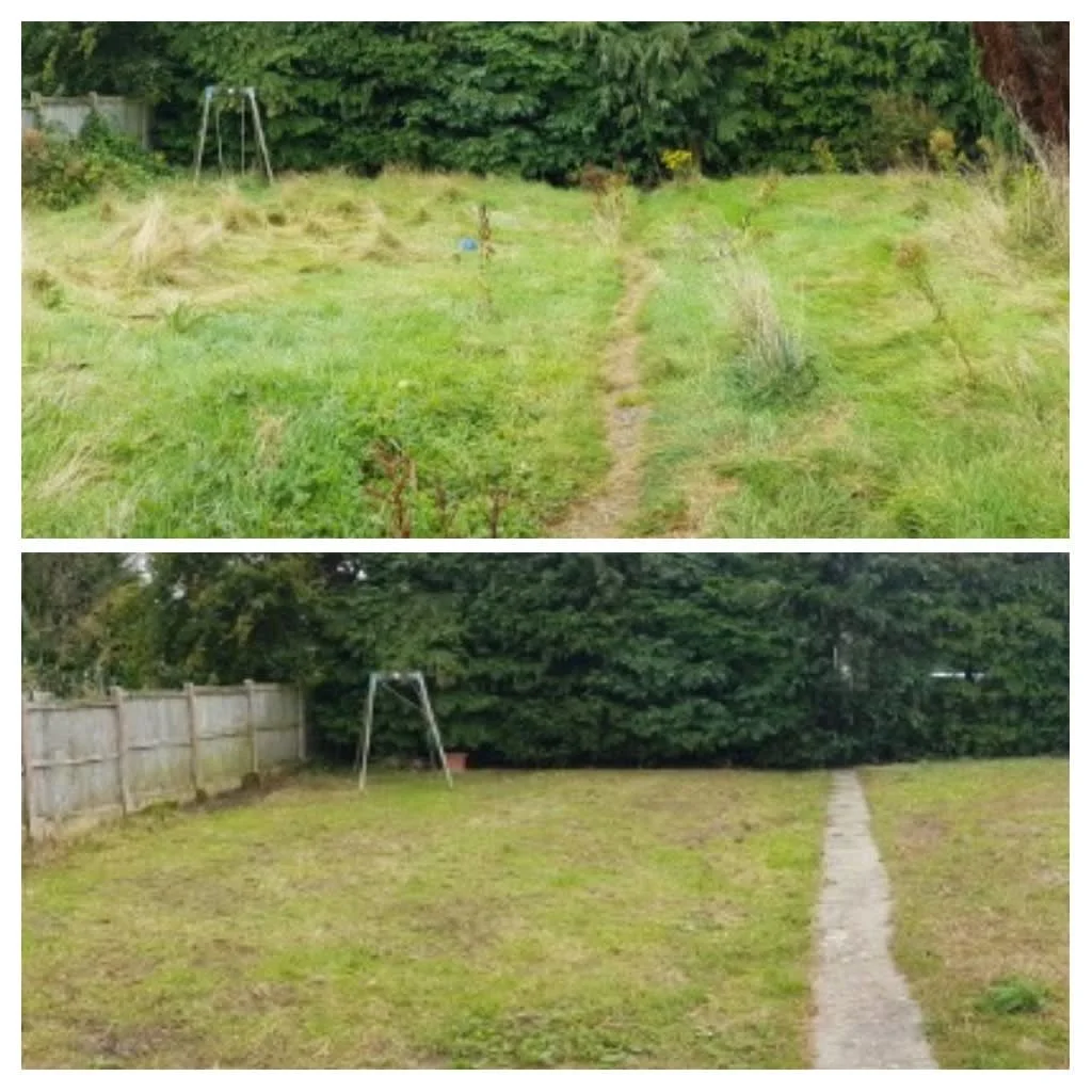 Images P Raitt Garden Maintenance