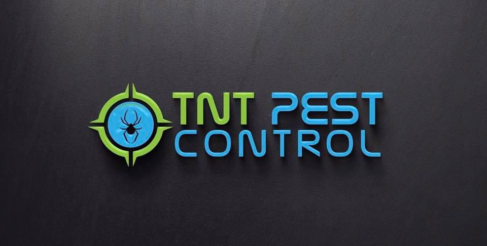 TNT Pest Control Services Photo