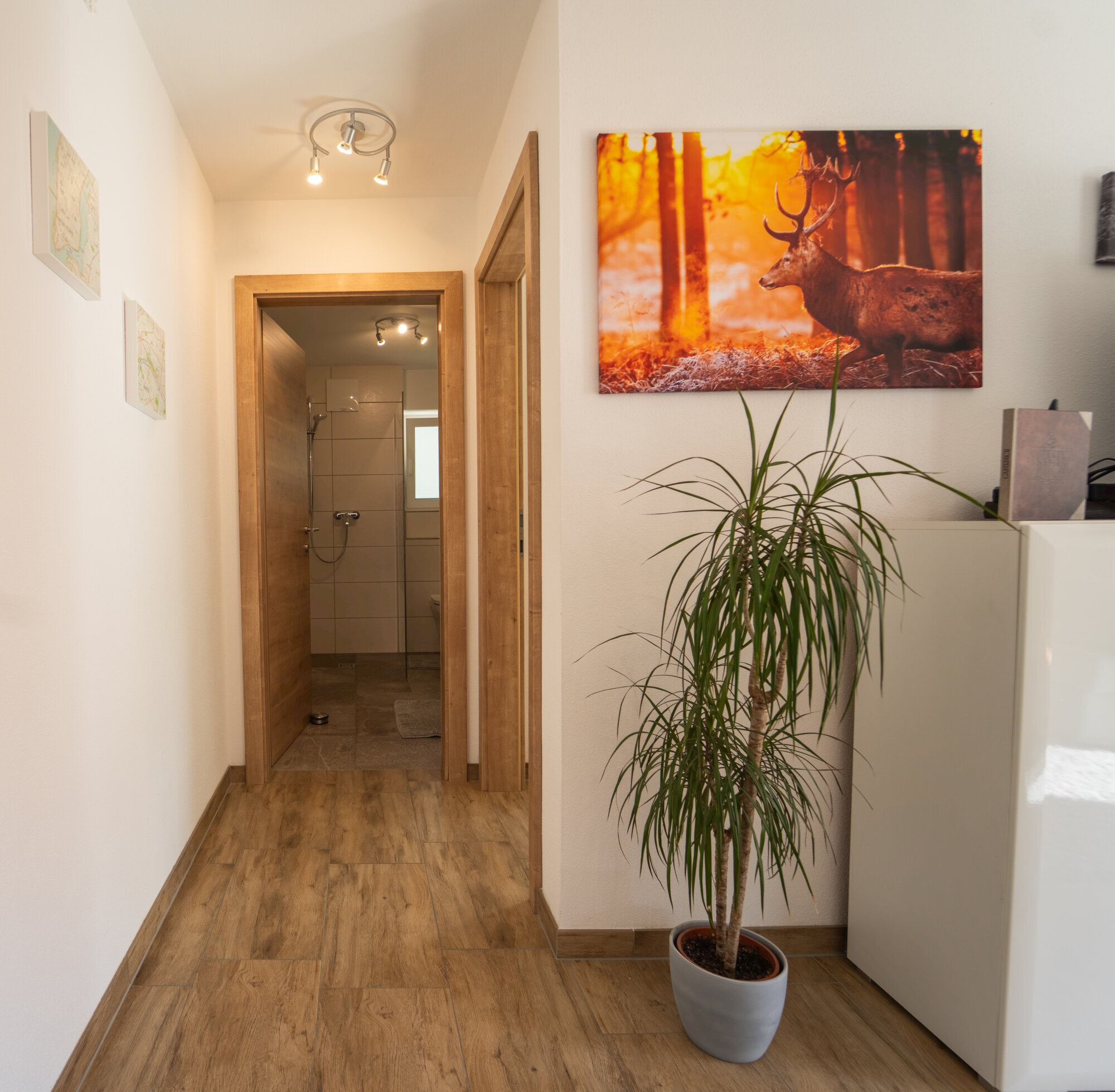 Bild 12 von Haus Faninger