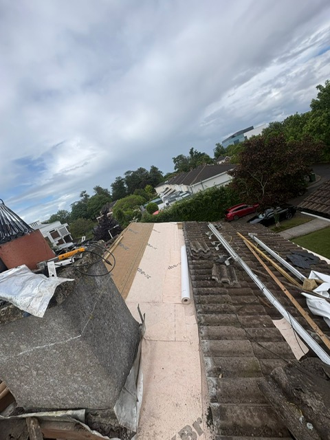 Pro Elite Roofing 60