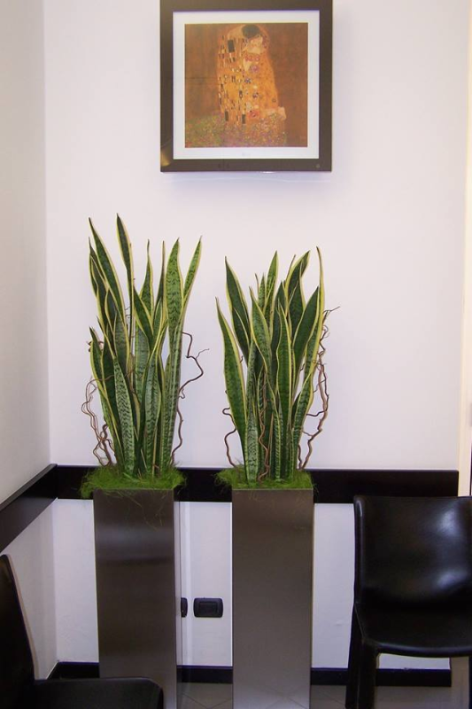 Images Studio Odontoiatrico Mediterraneo