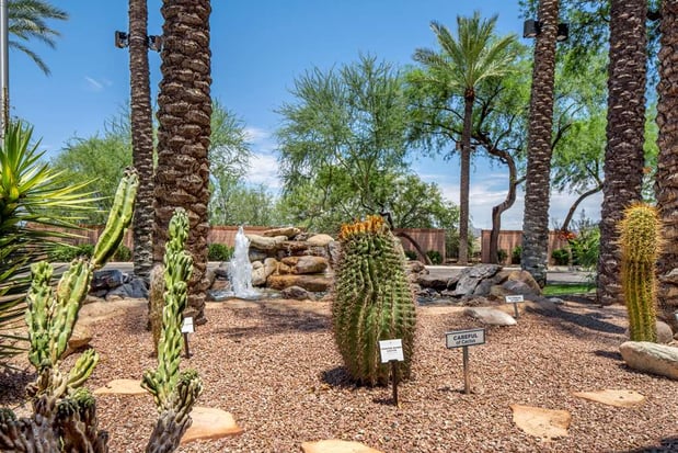 Images Hilton Vacation Club Scottsdale Villa Mirage