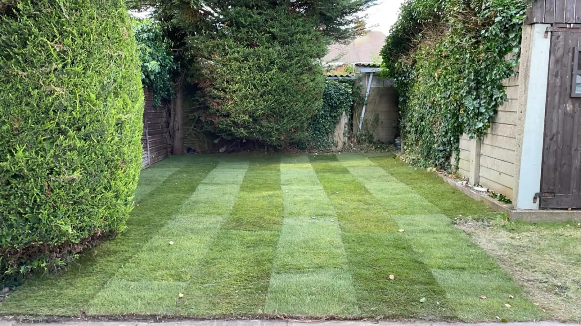Images Oakwood Tree & Landscaping Services