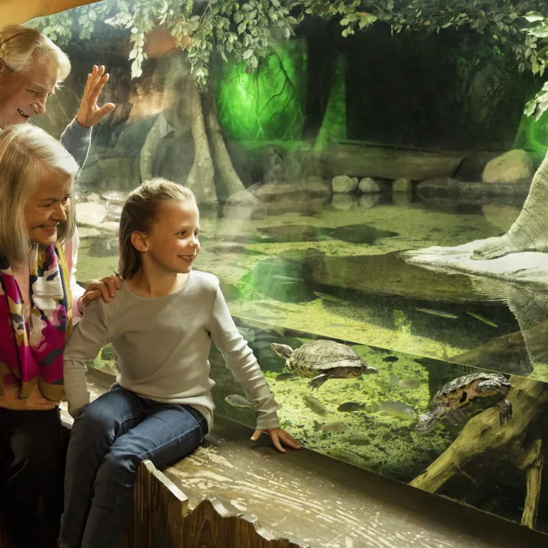 Images SEA LIFE London Aquarium