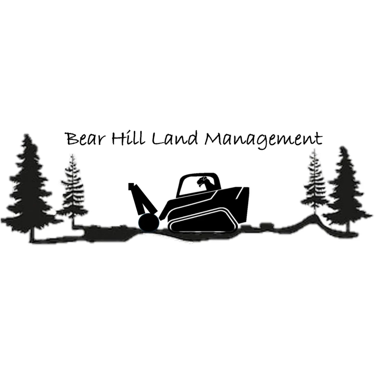 Bear Hill Land Management