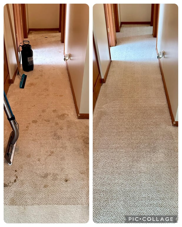 Images Apex Professional Cleaning Systems