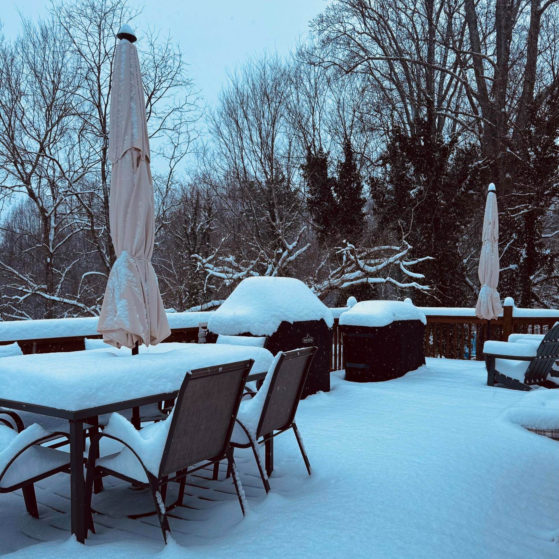 Zach Barnes - State Farm Insurance Agent Image