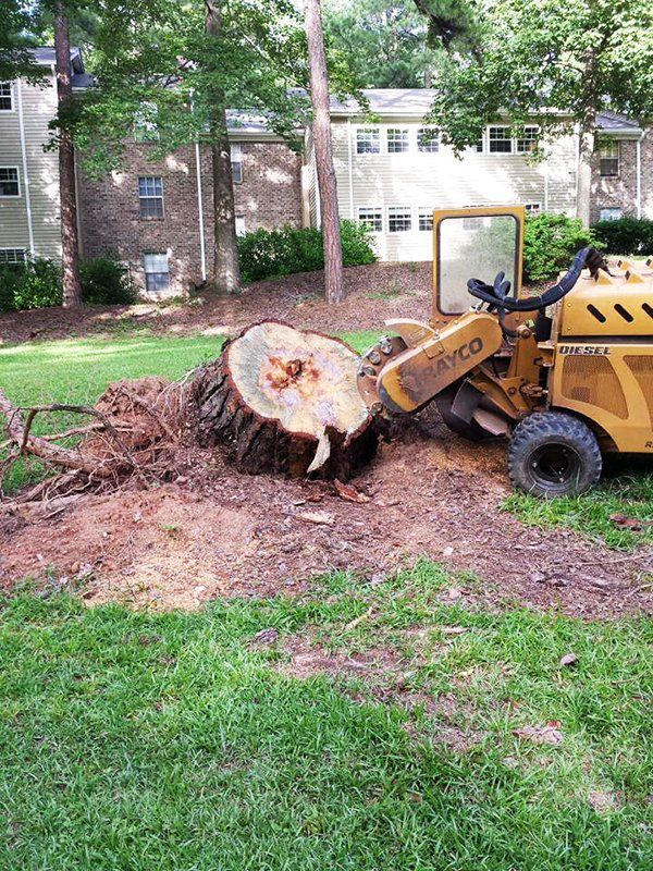 Image 10 | G and G Stump Removal