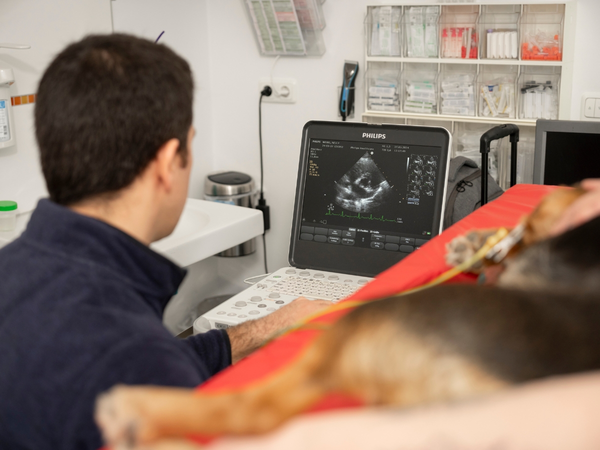 Bilder Tierarzt Limeshain, Kleintierzentrum Kilb&Team