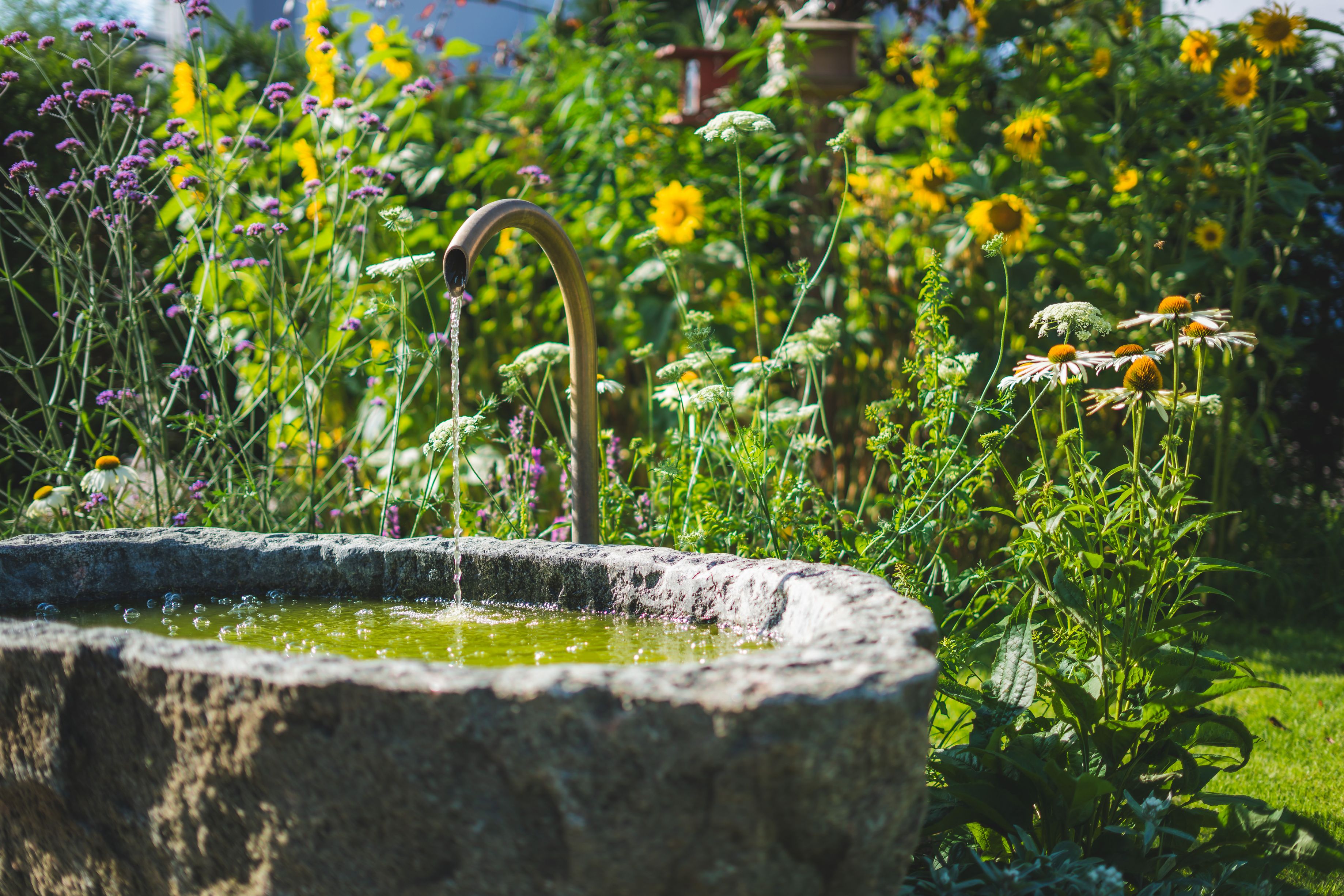 Bilder Gartengestaltung Oser AG