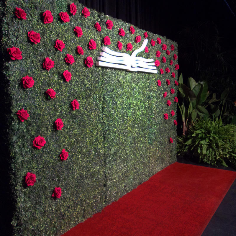 Step and Repeat LA Photo