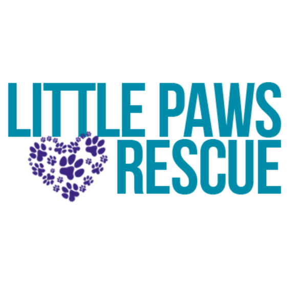 Little Paws Rescue
