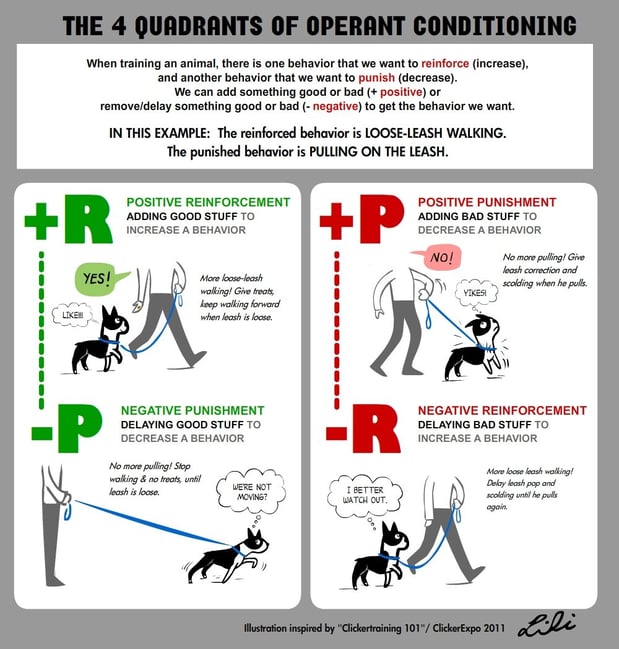 Images South Paw Doggie Daycare & Training Center