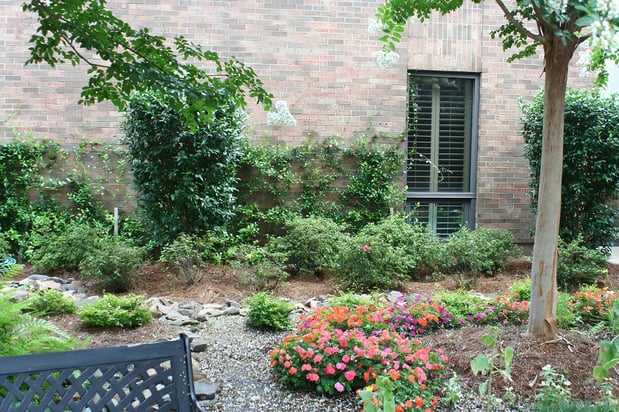 Images Top Notch Lawns