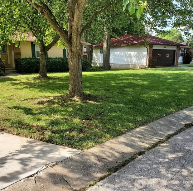 Images Cooks Lawn Care Service