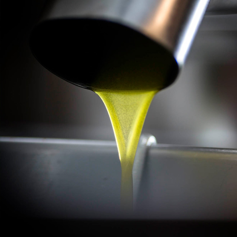 Images Antico Frantoio Tavian dal 1724