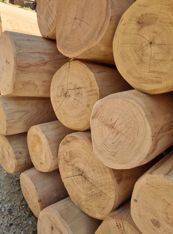 Bild 5 von Lettner Holzhandel