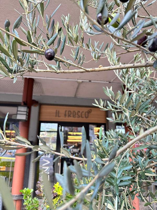 Images Il Fresco Bar
