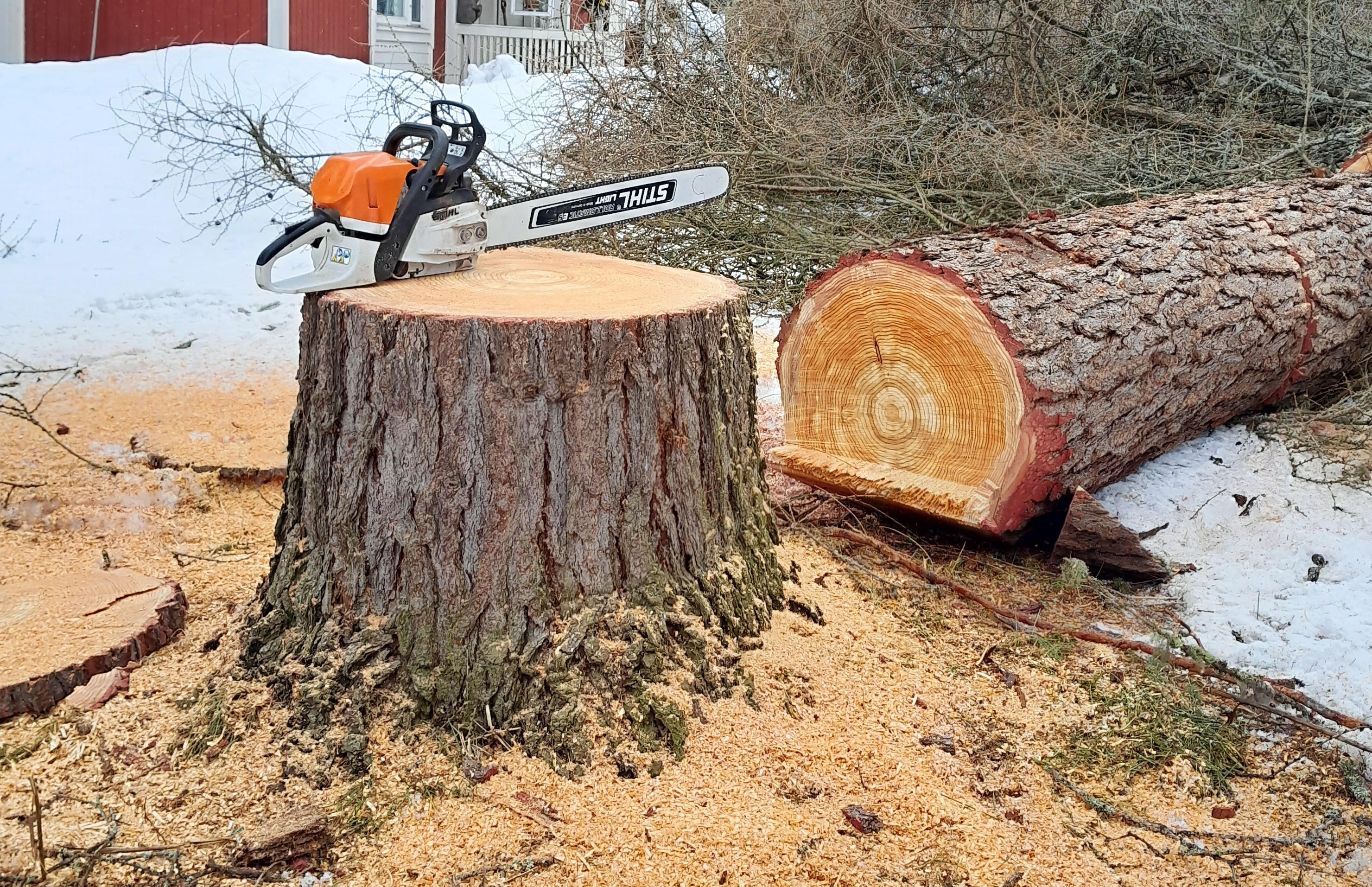 Images Tmi Monitoimi Pollari