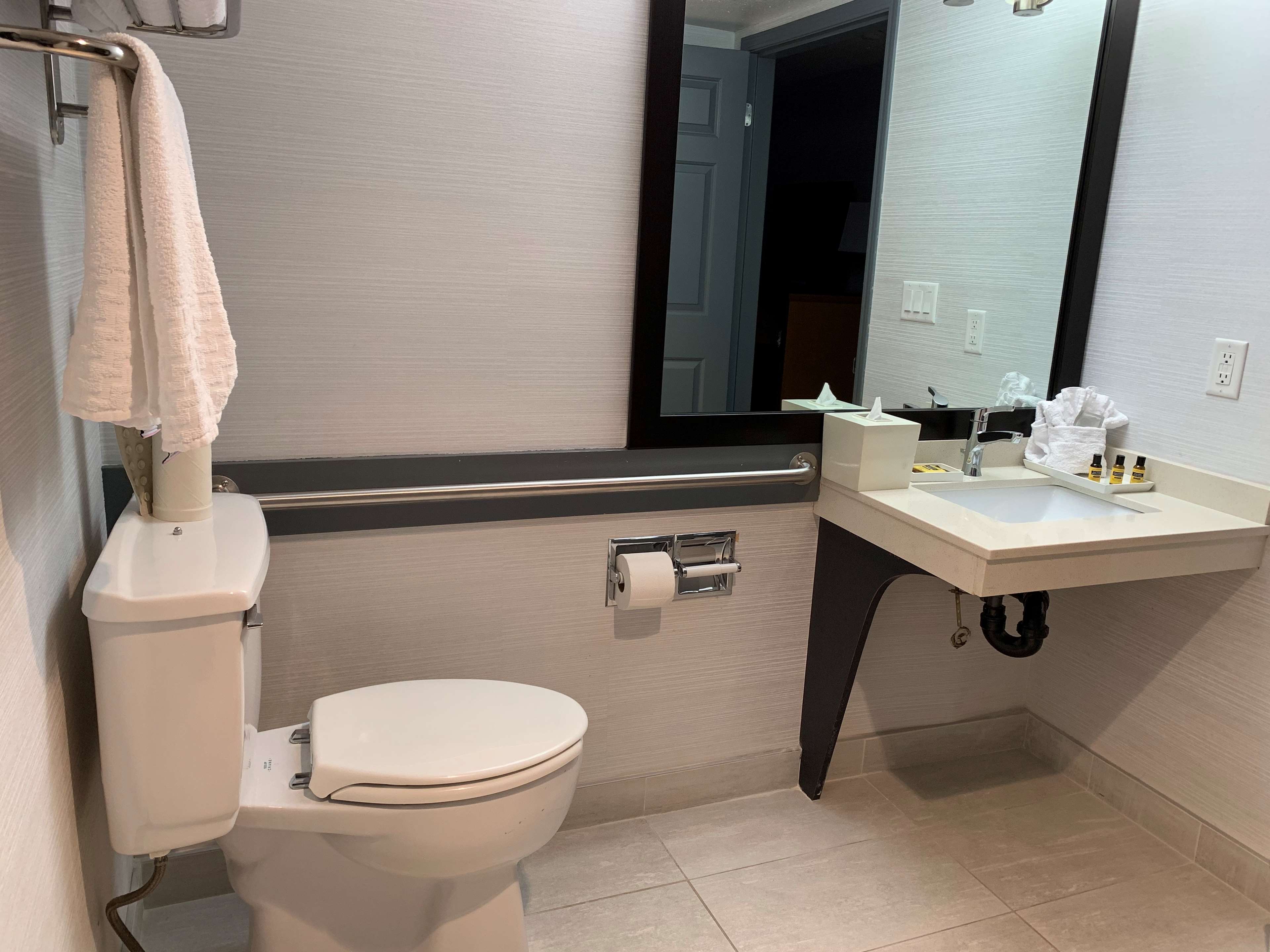 Best Western Plus Regency Inn & Conference Centre à Abbotsford: Accessible Washroom