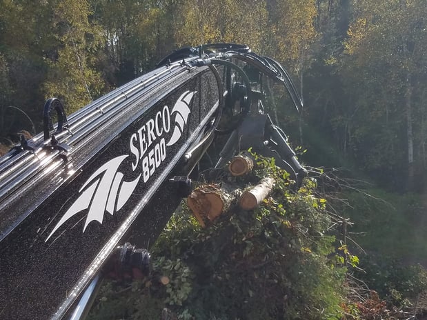 Images McMillan Tree Service