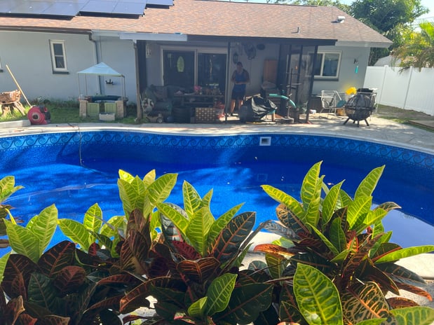 Images Paradise Palm Pools Inc