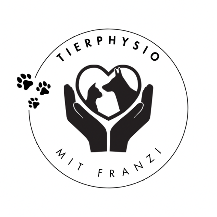 Tierphysio mit Franzi in Berlin